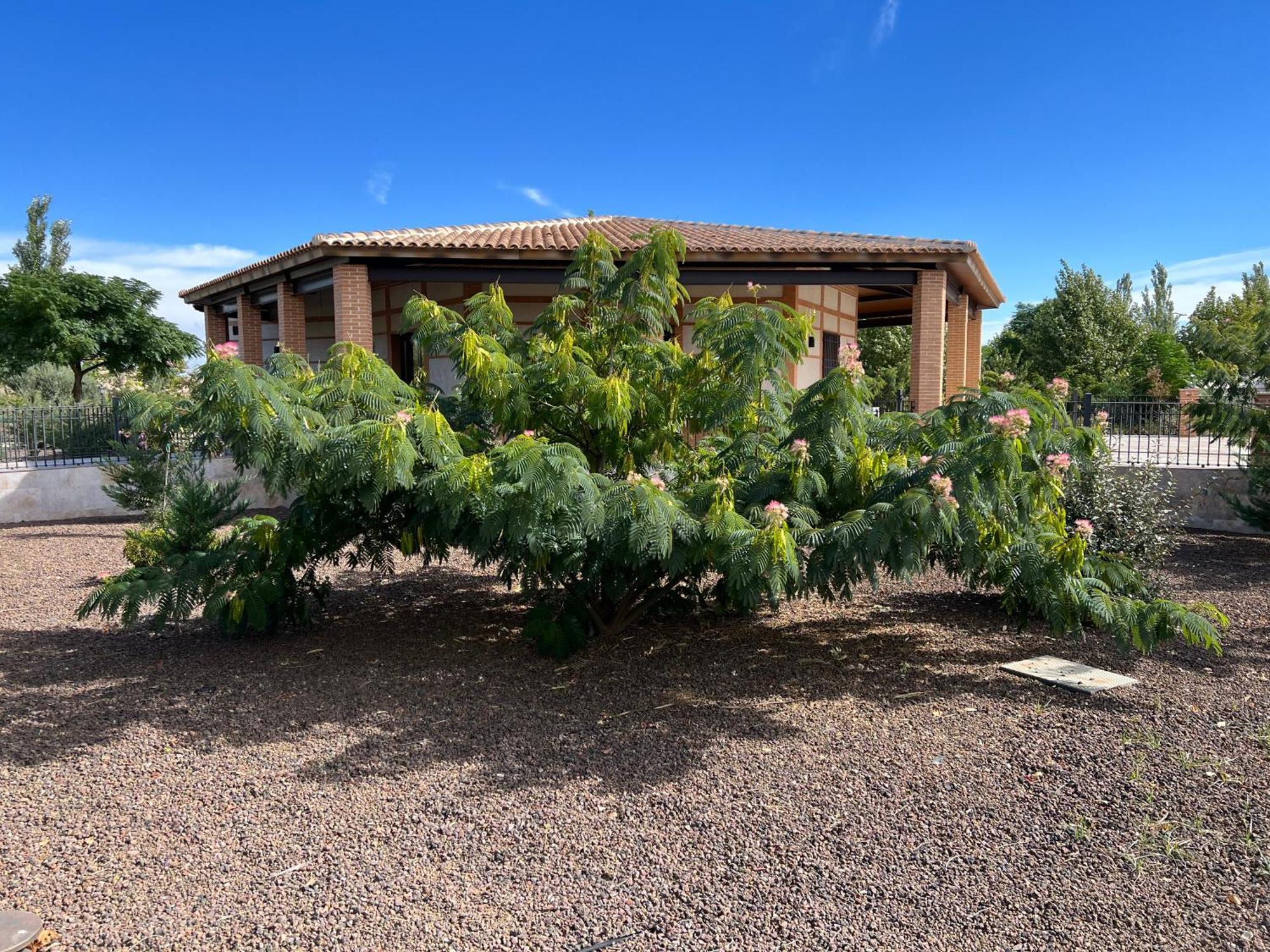 Finca Alarcos Valverde  Bagian luar foto